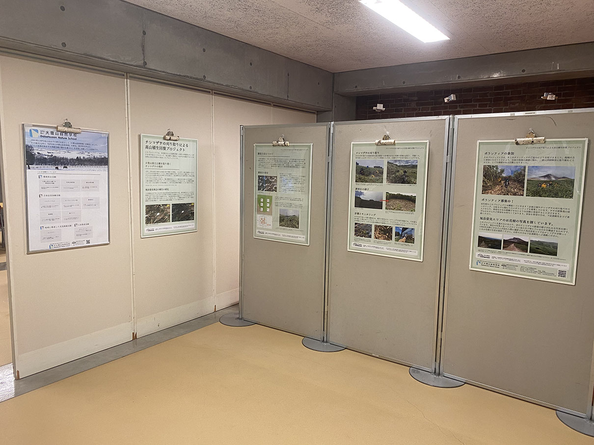 NPO法人 大雪山自然学校 - Daisetsuzan Nature School | チシマザサ